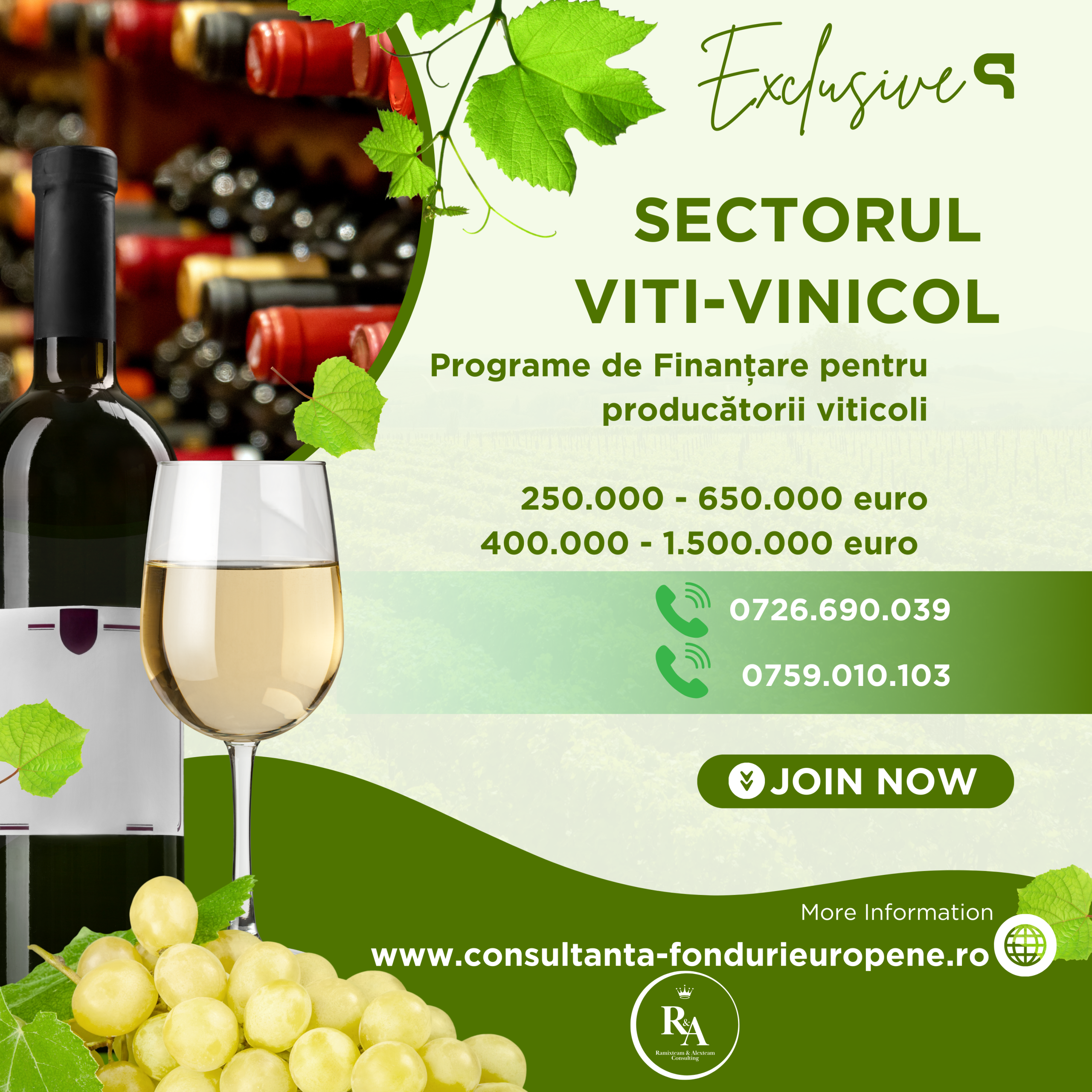 APIA: S-au lansat două intervenții pentru sectorul viti-vinicol din cadrul Planului strategic PAC 2023-2027